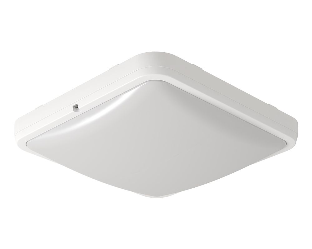 Sobrepone a Techo CEILING LED 250 SSD 22W Blanco Magg