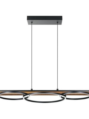 204922A 204922A LAMPARA COLGANTE BOYAL LUZ LED