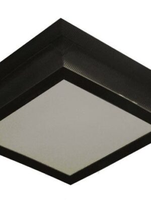 2PLBN30 2PLBN30 LÁMPARA TECHO 2 LUCES E26