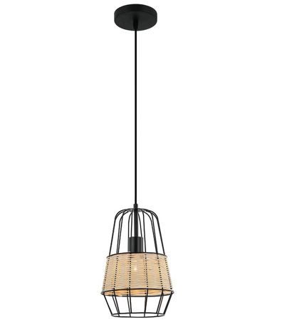 6500 RA LAMPARA COLGANTE NATURE 1 LUZ E26