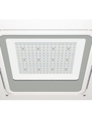 EG-GS24-100 EG-GS24-100 LAMPARA INDUSTRIAL GASOLINERA LED 100W